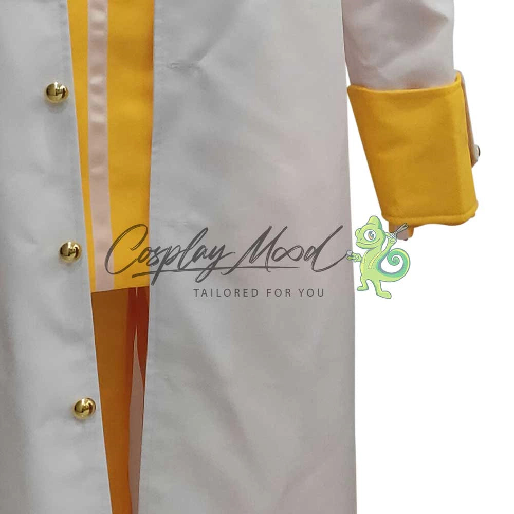 Costume-Cosplay-Kizaru-One-piece-9