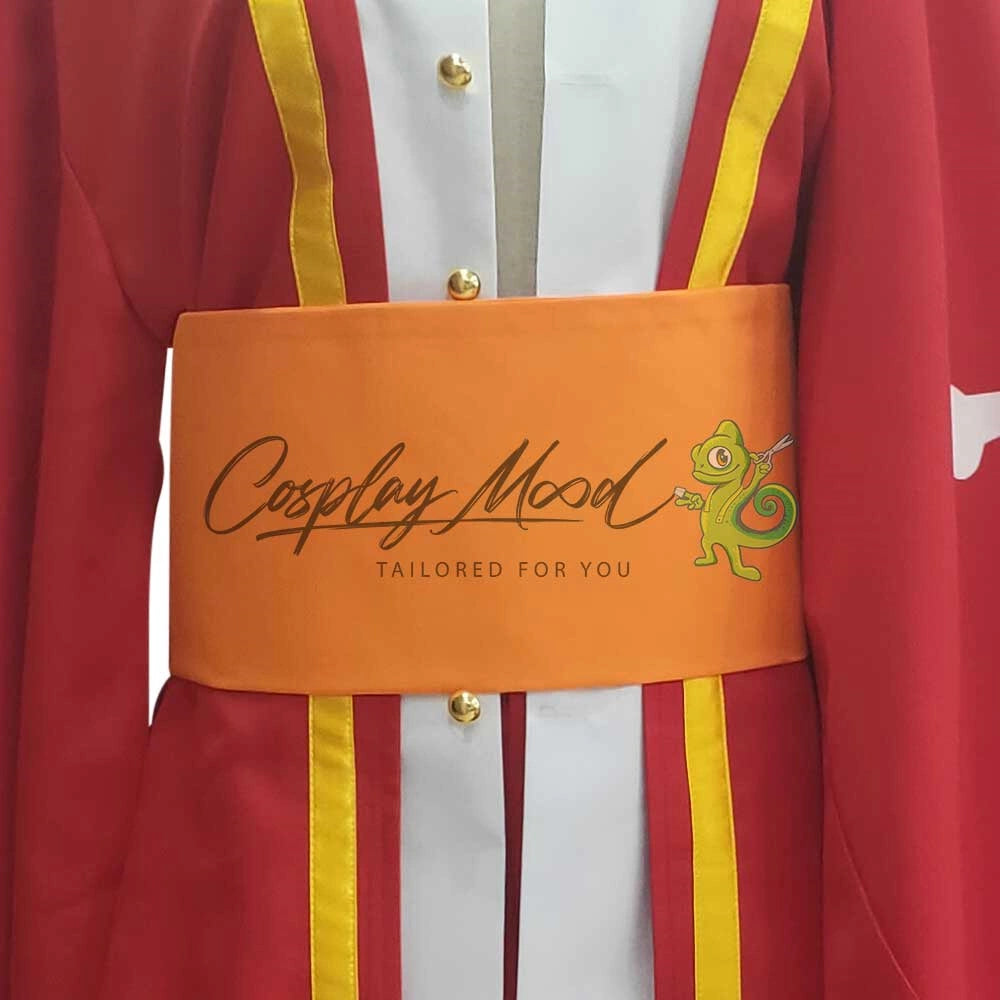 Costume-Cosplay-Rufy-15th-Anniversario-One-Piece-5