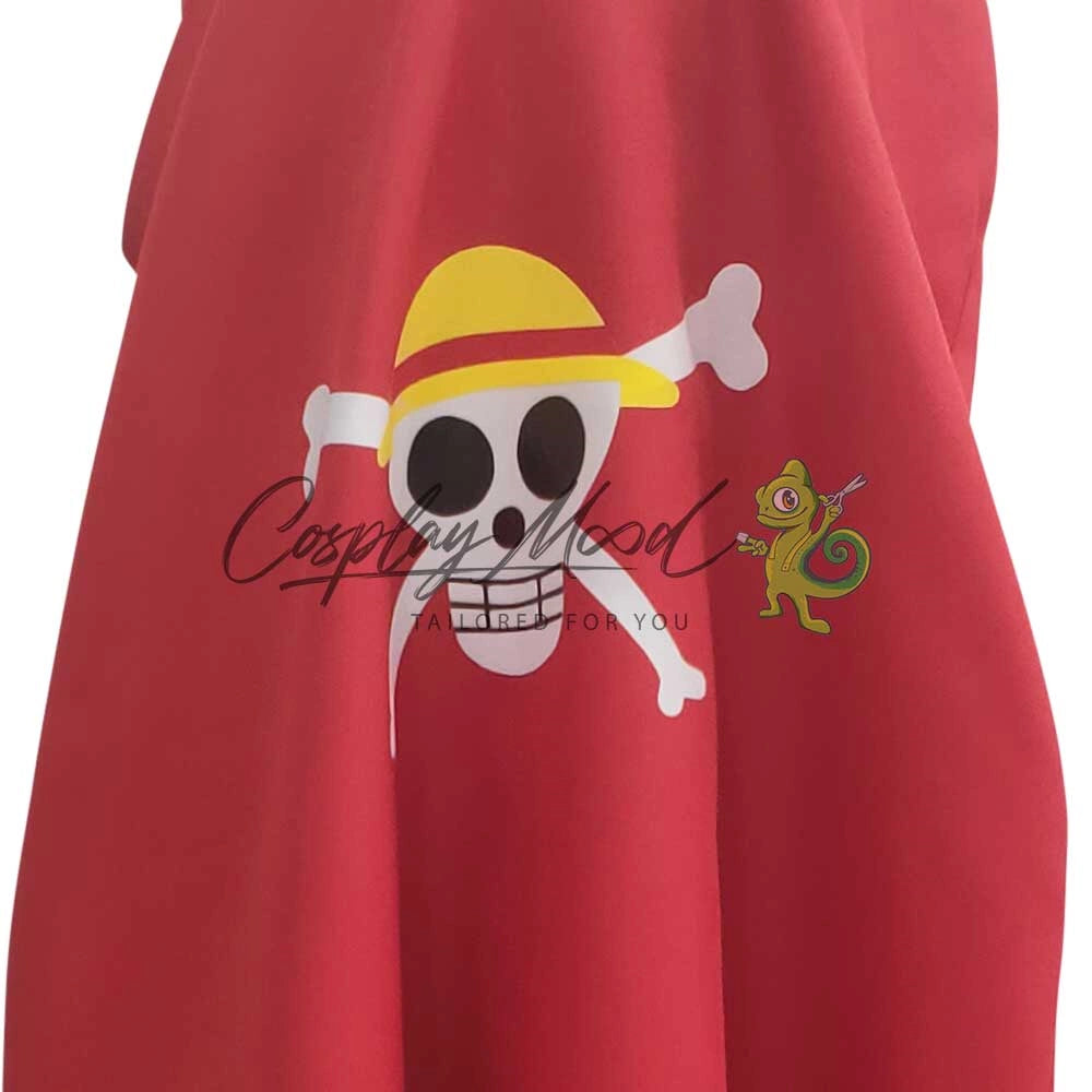 Costume-Cosplay-Rufy-15th-Anniversario-One-Piece-7