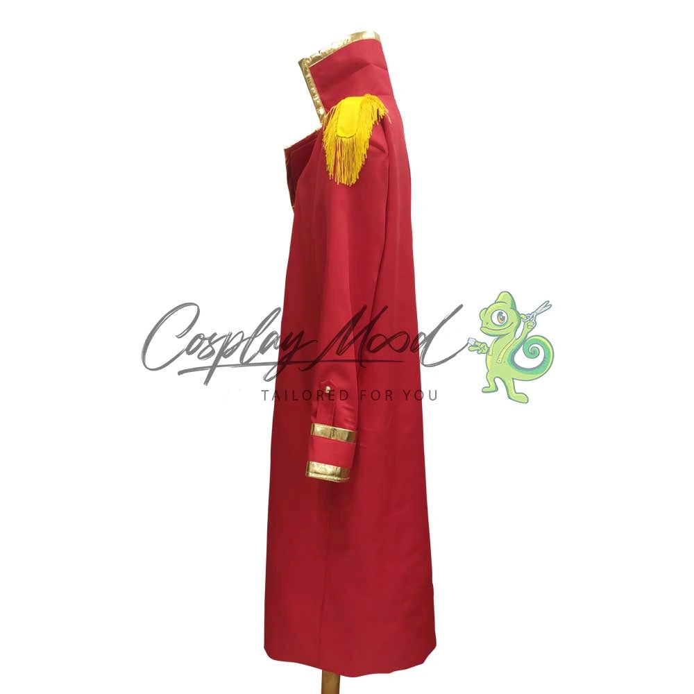 Costume-Cosplay-Rufy-15th-Anniversario-One-Piece-2