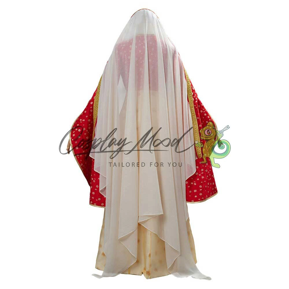 Costume-cosplay-Damigella-Dalia-Aladdin-5